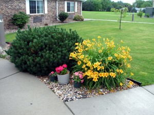 Entry Flowers